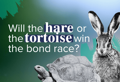 Will the hare or the tortoise win the bond race?